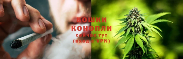 PSILOCYBIN Заволжск